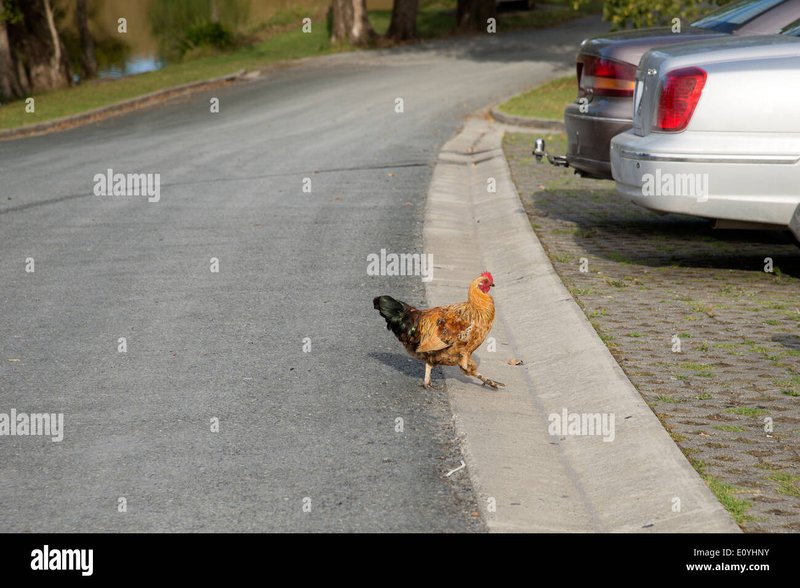 Descubre el Atractivo de Chicken Road en los Casinos de España - overview