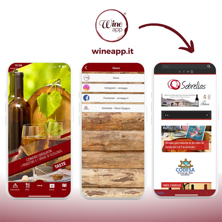 La Spin Winera: Tutte le Informazioni sulla App di Gioco d'Azzardo in Italia